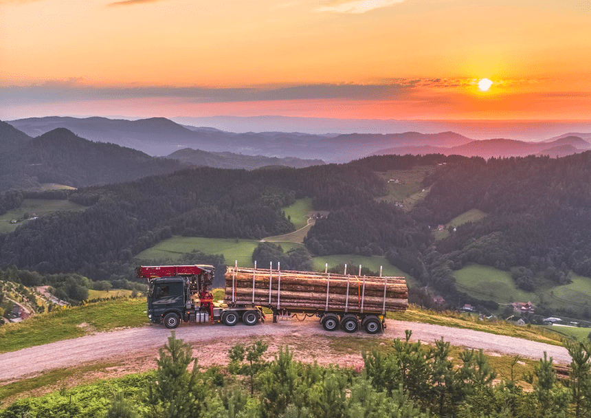 En Allemagne, un camion grumier face à la Forêt Noire