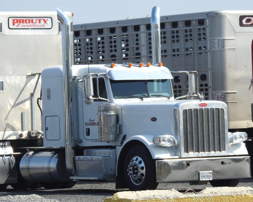 Peterbilt 389 show truck americain long nose